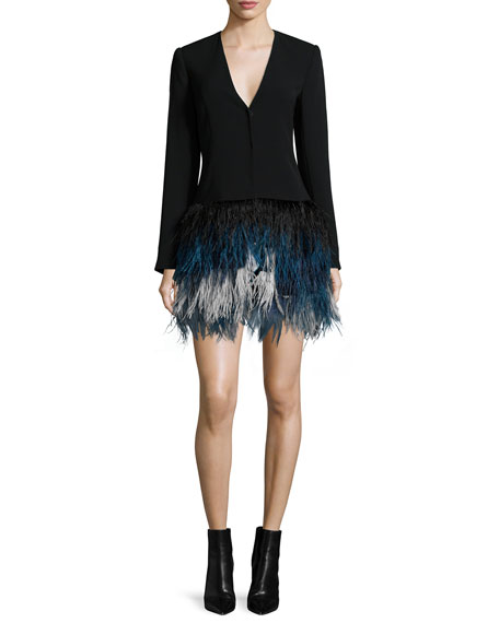 An Elizabeth & James Brixton Long-Sleeve Feather Dress and Gianvito Rossi Silver and Plexi Pumps 9