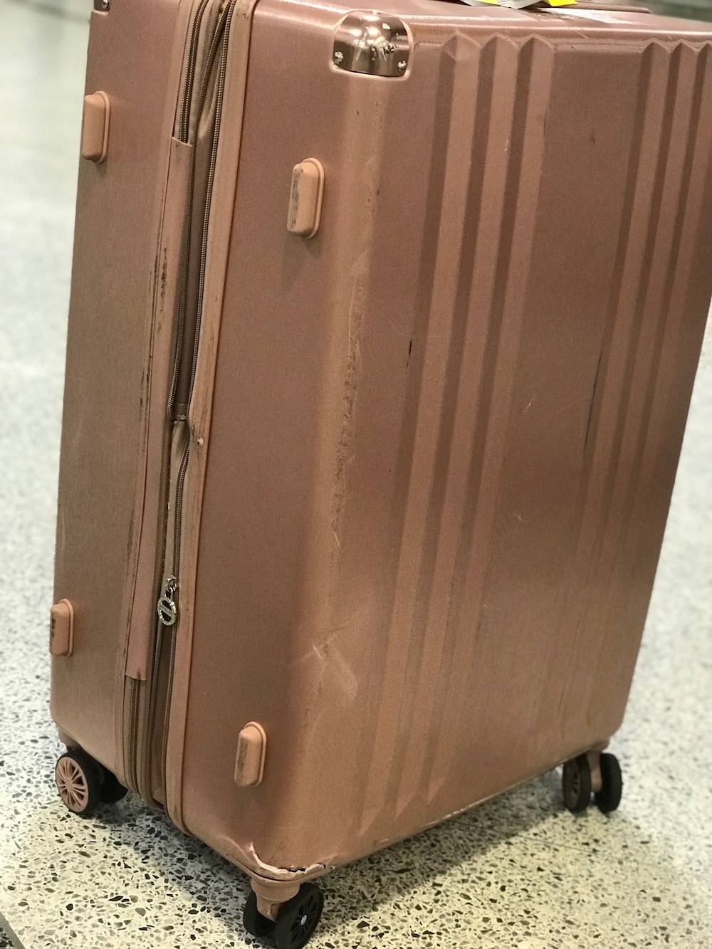 calpak maie luggage review